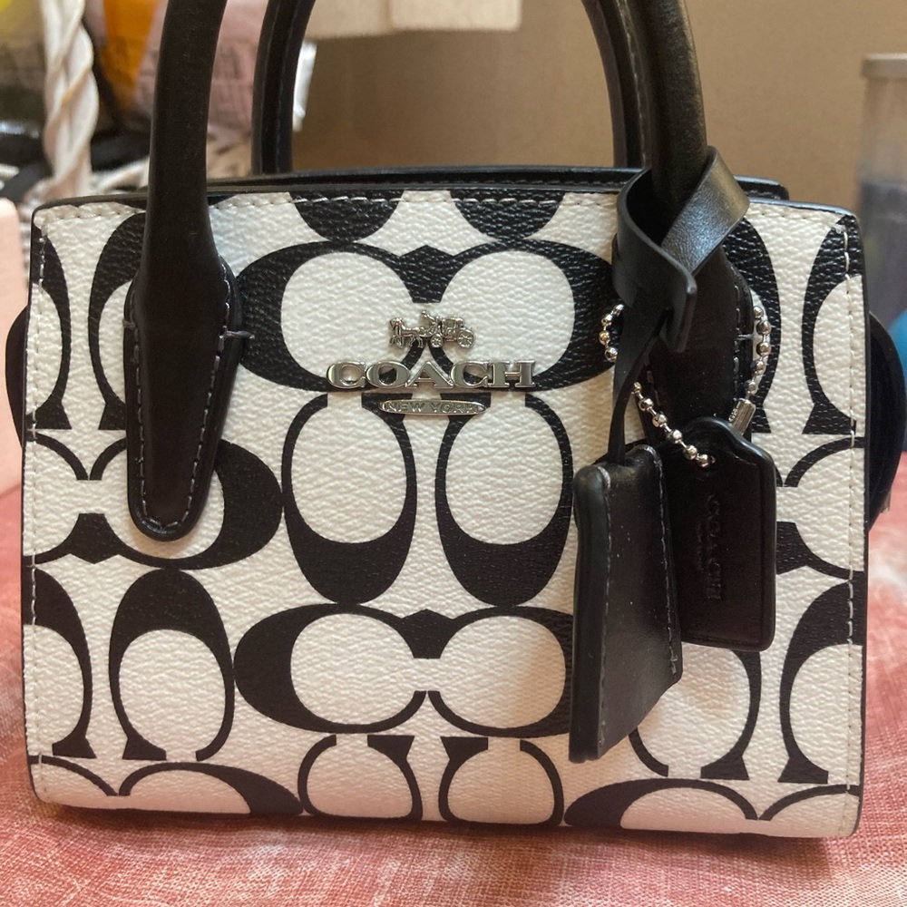 Coach Andrea Mini Carryall In Signature Canvas